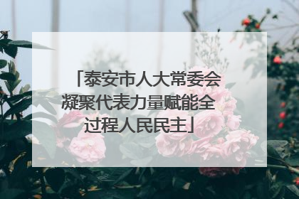 泰安市人大常委会凝聚代表力量赋能全过程人民民主