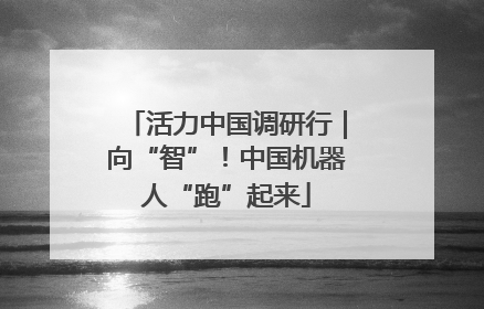 活力中国调研行｜向“智”！中国机器人“跑”起来