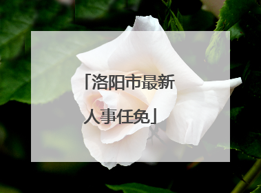 洛阳市最新人事任免