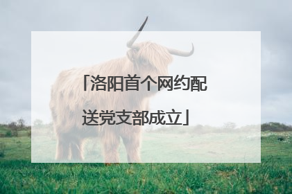 洛阳首个网约配送党支部成立