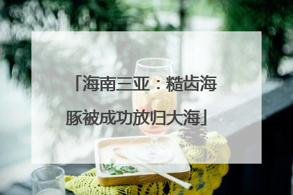 海南三亚：糙齿海豚被成功放归大海