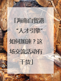 海南自贸港“人才引擎”如何加速？这场交流活动有干货