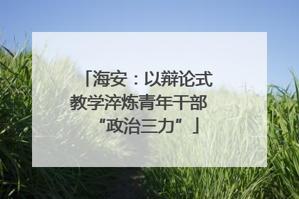 海安：以辩论式教学淬炼青年干部“政治三力”