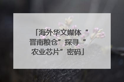 海外华文媒体“晋南粮仓”探寻“农业芯片”密码