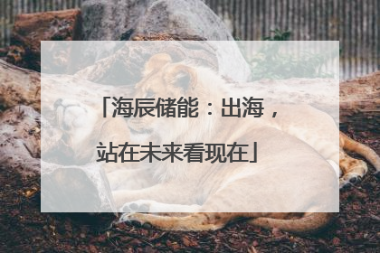 海辰储能：出海，站在未来看现在