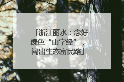 浙江丽水：念好绿色“山字经”，闯出生态富民路