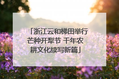浙江云和梯田举行芒种开犁节 千年农耕文化续写新篇