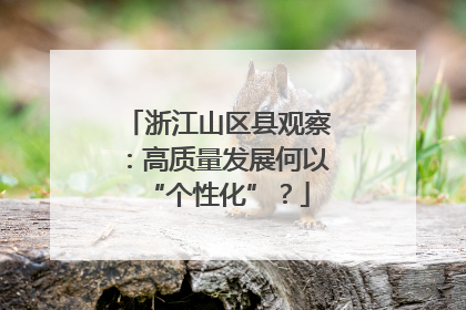 浙江山区县观察：高质量发展何以“个性化”？