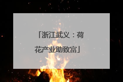 浙江武义：荷花产业助致富