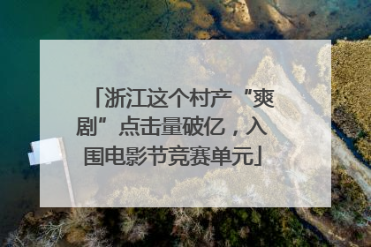 浙江这个村产“爽剧”点击量破亿，入围电影节竞赛单元