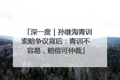 深一度｜孙继海青训索赔争议背后：青训不容易，赔偿可仲裁