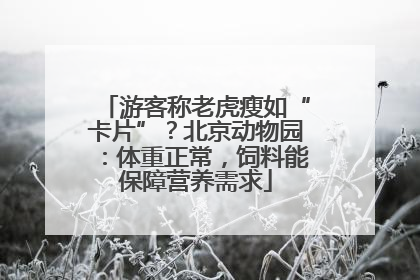 游客称老虎瘦如“卡片”？北京动物园：体重正常，饲料能保障营养需求