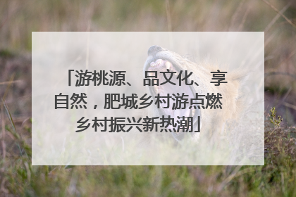 游桃源、品文化、享自然，肥城乡村游点燃乡村振兴新热潮