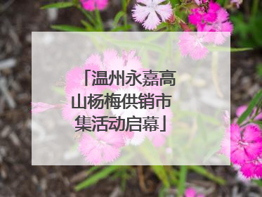 温州永嘉高山杨梅供销市集活动启幕
