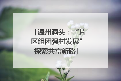 温州洞头：“片区组团强村发展”探索共富新路