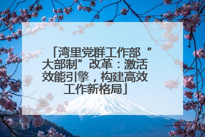 湾里党群工作部“大部制”改革：激活效能引擎，构建高效工作新格局