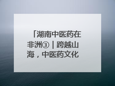 湖南中医药在非洲③｜跨越山海，中医药文化浸润非洲