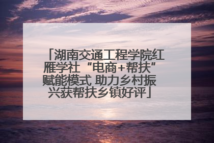 湖南交通工程学院红雁学社“电商+帮扶”赋能模式 助力乡村振兴获帮扶乡镇好评