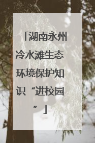 湖南永州冷水滩生态环境保护知识“进校园”
