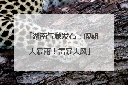 湖南气象发布：假期大暴雨！雷暴大风