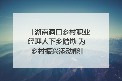 湖南洞口乡村职业经理人下乡踏勘 为乡村振兴添动能