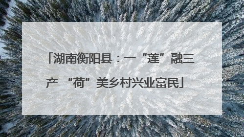 湖南衡阳县：一“莲”融三产 “荷”美乡村兴业富民
