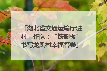 湖北省交通运输厅驻村工作队：“铁脚板”书写龙凤村幸福答卷