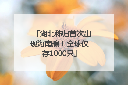 湖北秭归首次出现海南鳽！全球仅存1000只