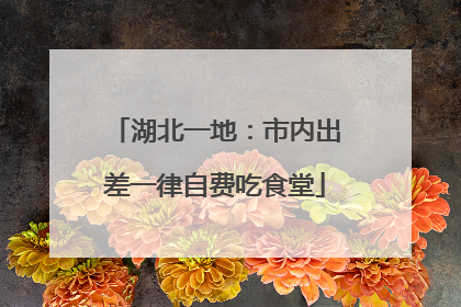 湖北一地：市内出差一律自费吃食堂