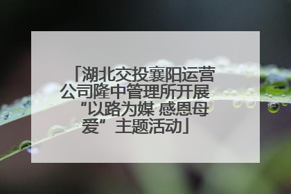 湖北交投襄阳运营公司隆中管理所开展“以路为媒 感恩母爱”主题活动