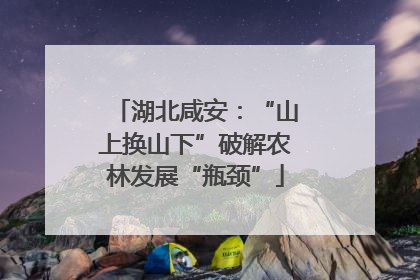 湖北咸安：“山上换山下”破解农林发展“瓶颈”