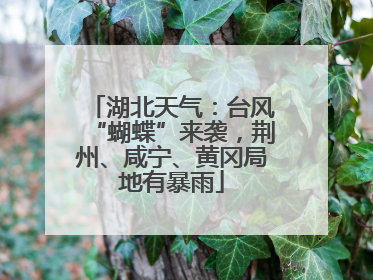 湖北天气：台风“蝴蝶”来袭，荆州、咸宁、黄冈局地有暴雨
