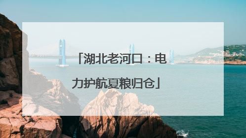 湖北老河口：电力护航夏粮归仓