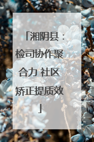 湘阴县：检司协作聚合力 社区矫正提质效