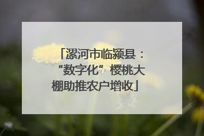 漯河市临颍县：“数字化”樱桃大棚助推农户增收