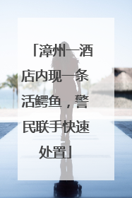 漳州一酒店内现一条活鳄鱼，警民联手快速处置