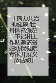 菏力共治助健康 牡丹区省派第一书记和工作队邀请省妇幼保健院专家开展义诊活动