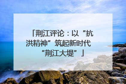 荆江评论：以“抗洪精神”筑起新时代“荆江大堤”