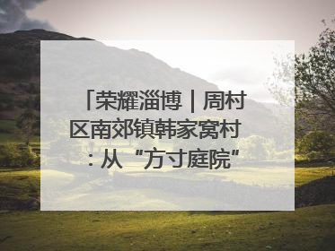 荣耀淄博｜周村区南郊镇韩家窝村：从“方寸庭院”到“全域文明”，乡村振兴的“美学革命”