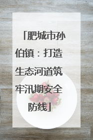 肥城市孙伯镇：打造生态河道筑牢汛期安全防线