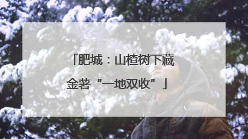 肥城：山楂树下藏金薯“一地双收”