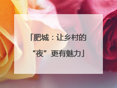 肥城：让乡村的“夜”更有魅力