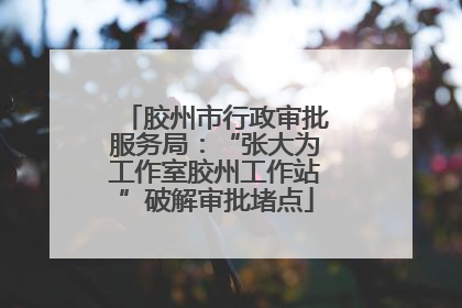 胶州市行政审批服务局：“张大为工作室胶州工作站”破解审批堵点