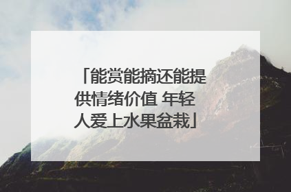 能赏能摘还能提供情绪价值 年轻人爱上水果盆栽