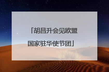 胡昌升会见欧盟国家驻华使节团