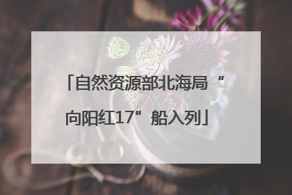 自然资源部北海局“向阳红17”船入列