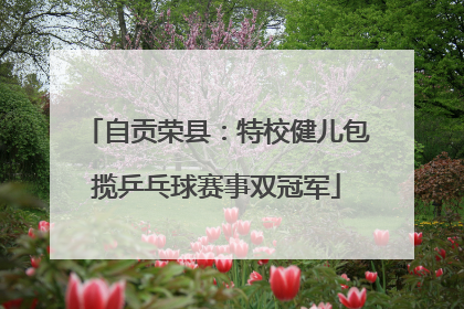 自贡荣县：特校健儿包揽乒乓球赛事双冠军