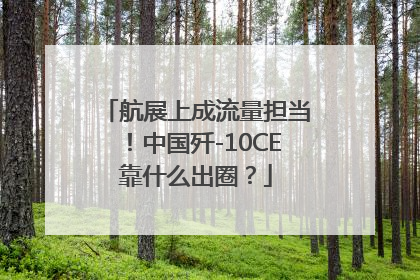航展上成流量担当！中国歼-10CE靠什么出圈？