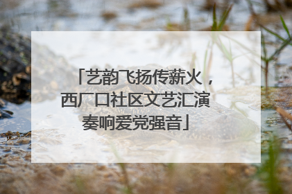 艺韵飞扬传薪火，西厂口社区文艺汇演奏响爱党强音