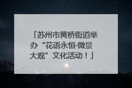 苏州市黄桥街道举办“花语永恒·微景大观”文化活动！
